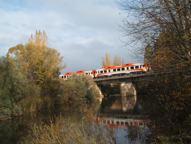 Tagamochis sobre el puente del río Duero en Almazán-V.JPG