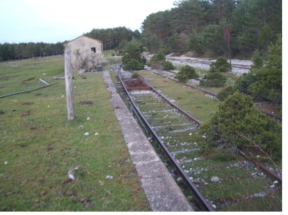 Pinar Grande_muelle descubierto, viviendas forestales y báscula.JPG