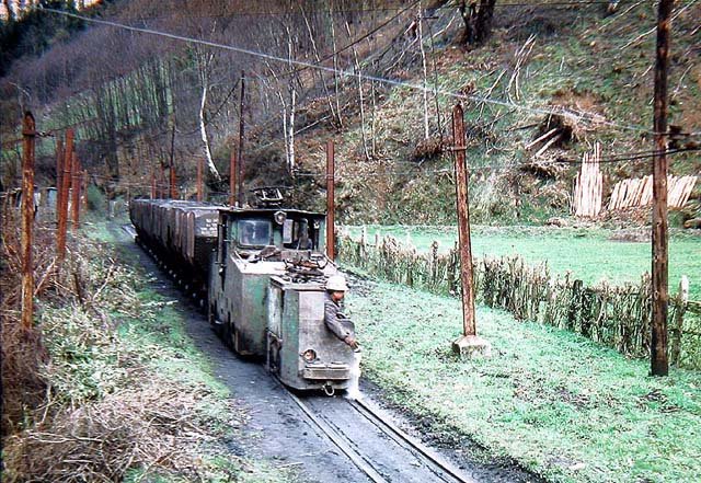 Cerezal.jpg (139.46 KiB) Visto 14773 veces Cerezal.jpg